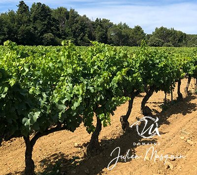 Domaine masquin