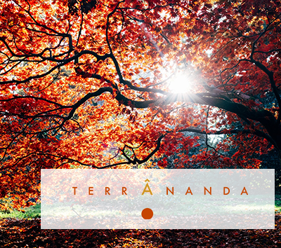 Terrananda