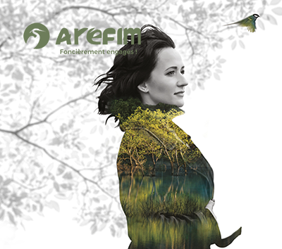 Arefim